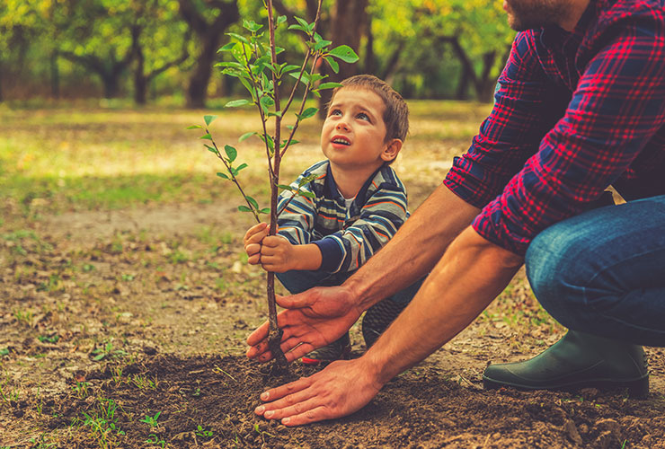 children planting trees with forest rangers