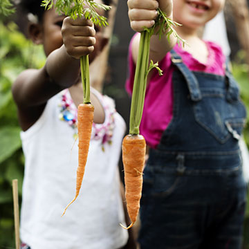 pride in the self-grown harvest