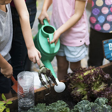watering the beds in schoolyard gardens